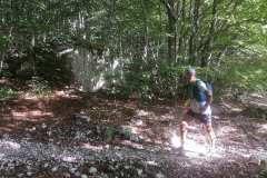 IMG_20230730_080017