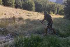 IMG_20230730_080527