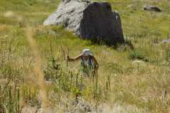 DSCN5902