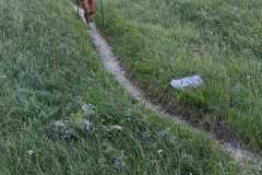 IMG_20230730_080828