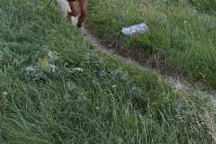 IMG_20230730_080830