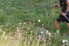 IMG_20230730_081603