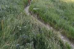 IMG_20230730_082123