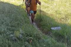 IMG_20230730_083942