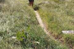IMG_20230730_091436